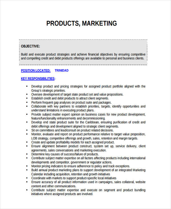 Annual Product Marketing Plan