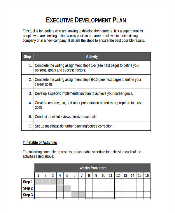 basic executive development plan