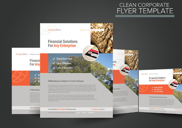 -Clean Corporate Flyer
