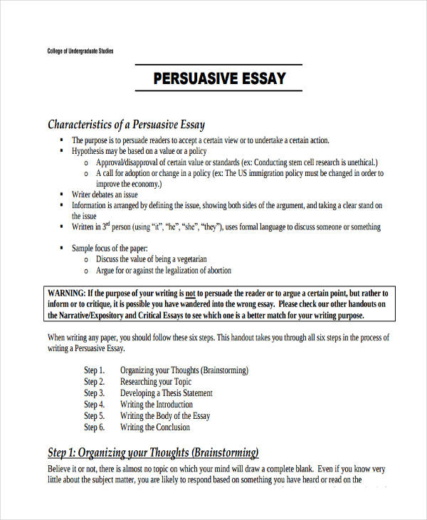 essay example university level