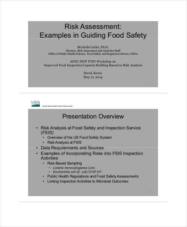 Risk Assessment Examples - 45+ in PDF | DOC | Examples