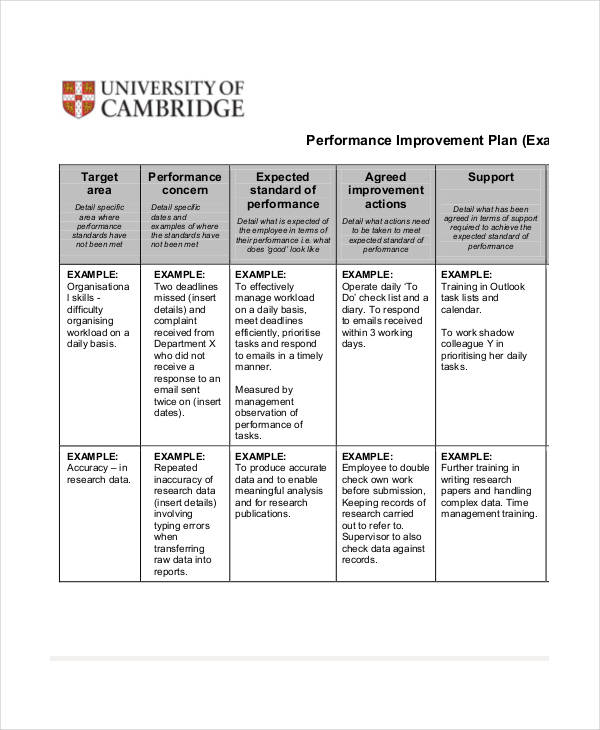 Performance Improvement Action Plan