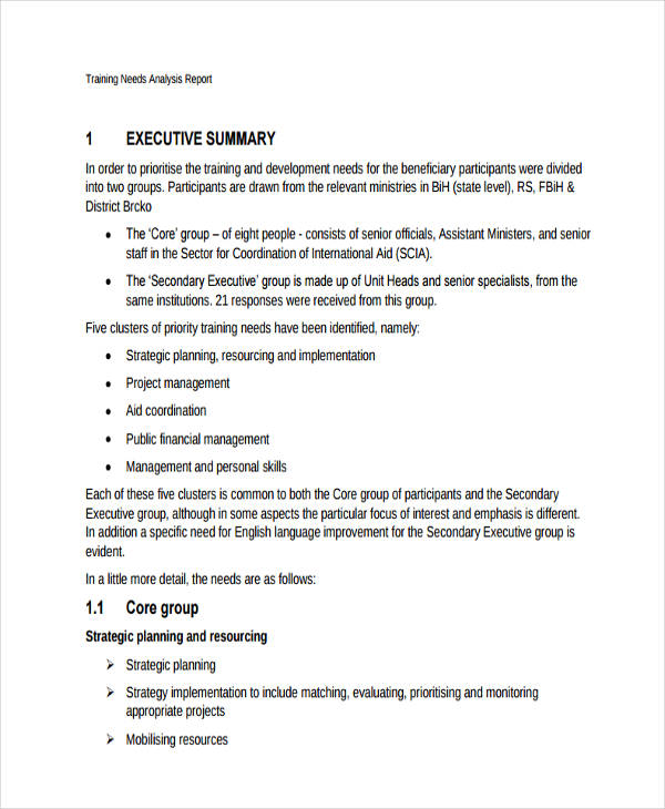 Project Management Needs Analysis