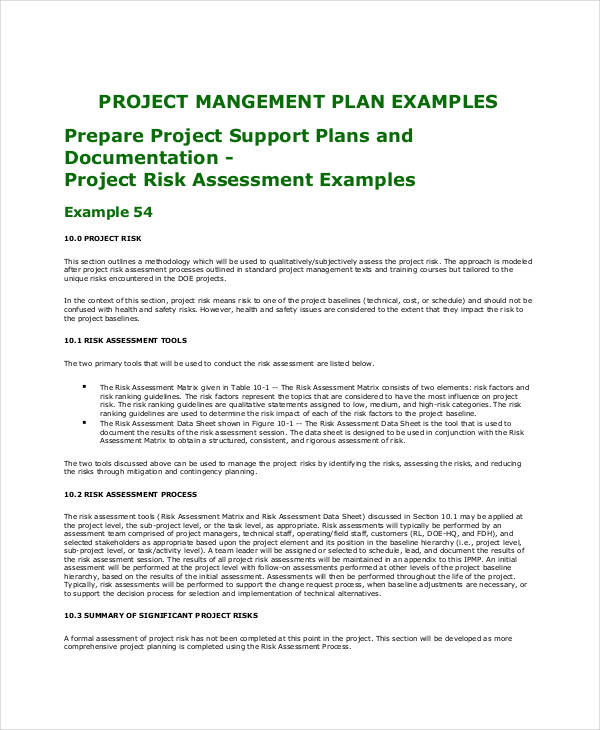 Project Risk Assessment Plan