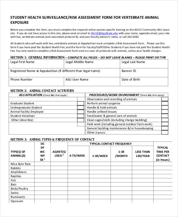 Risk Assessment - 45+ Examples, PDF, DOC