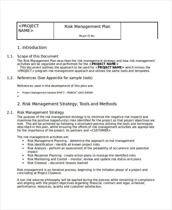 Risk Plan - 31+ Examples, Format, Pdf | Examples