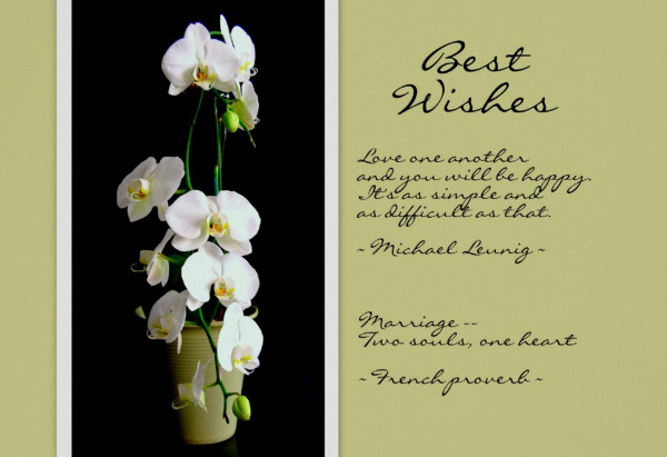 wedding wishes greeting card
