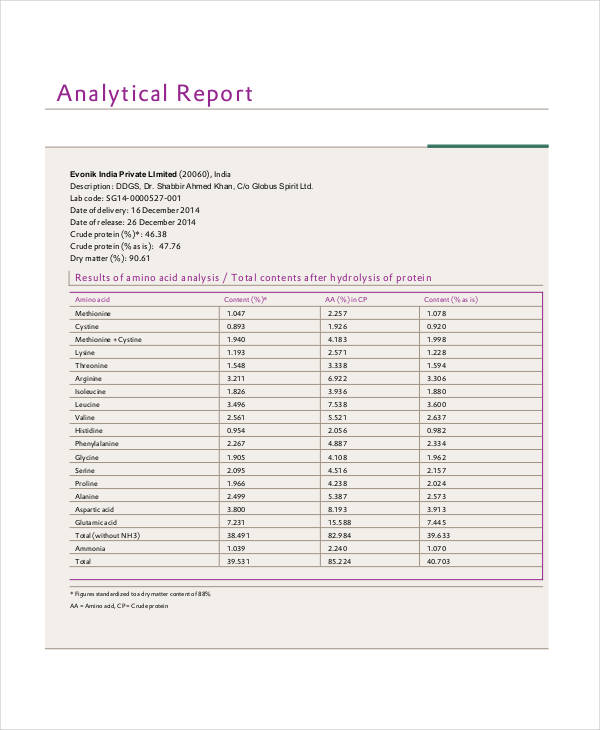 Short Analytical Report Example