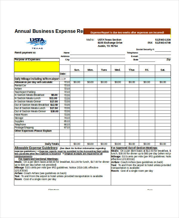 Annual Business Expense Report