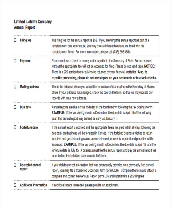 Annual Report Example