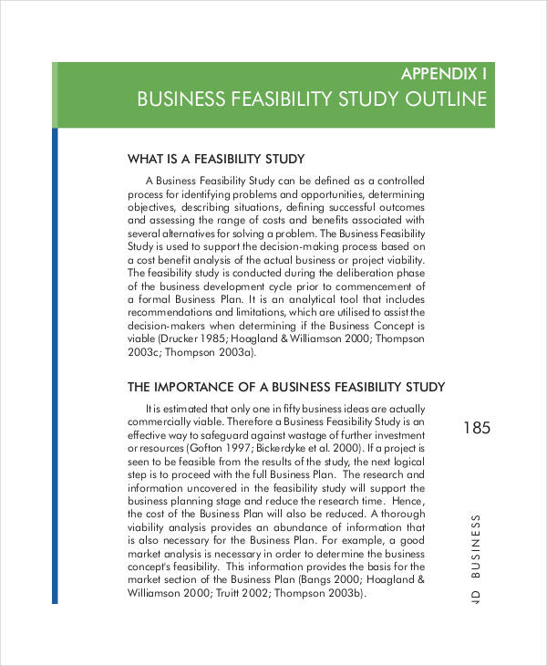 business plan and feasibility analysis