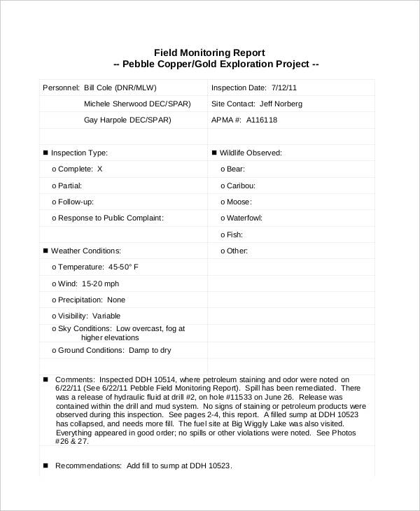 field inspection report in pdf