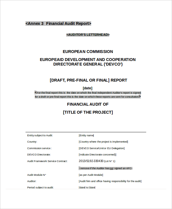 Financial Audit Report1