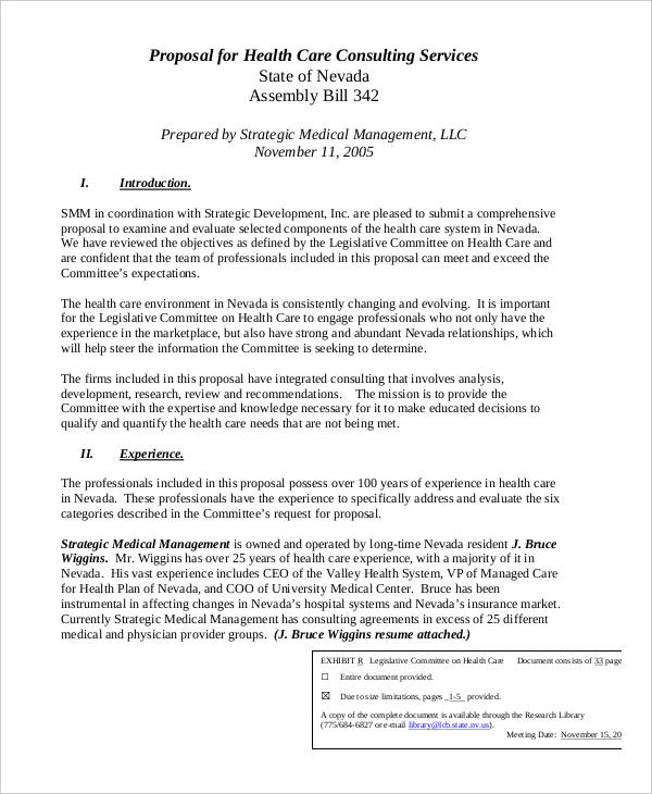 Consulting Proposal Examples 15 In PDF DOC AI PSD Examples