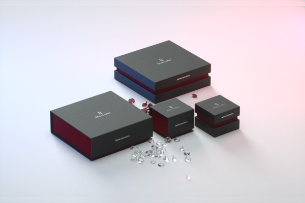 -Jewelry Box Packaging