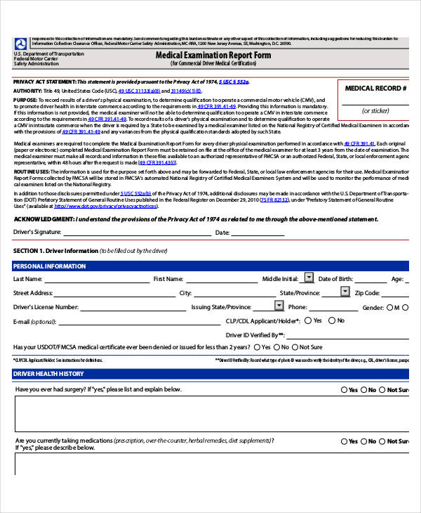 Dr Test Report Template