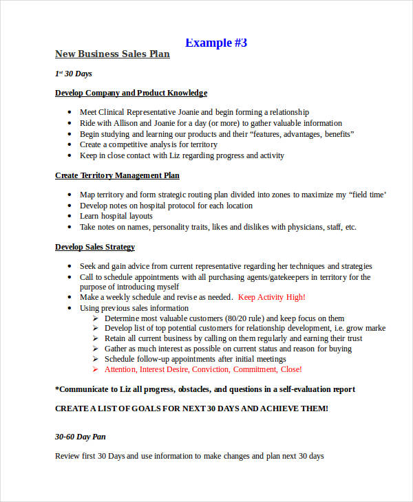 Sales Plan 25 Examples Word Pages Google Docs DOC PDF