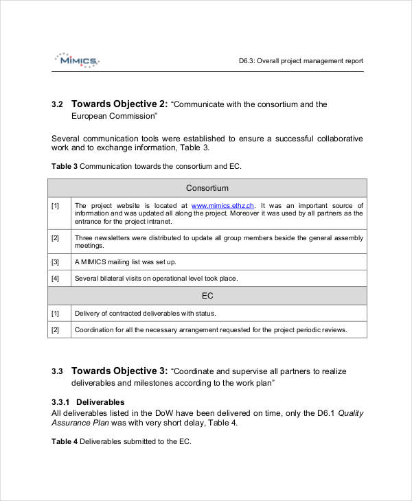 project management report