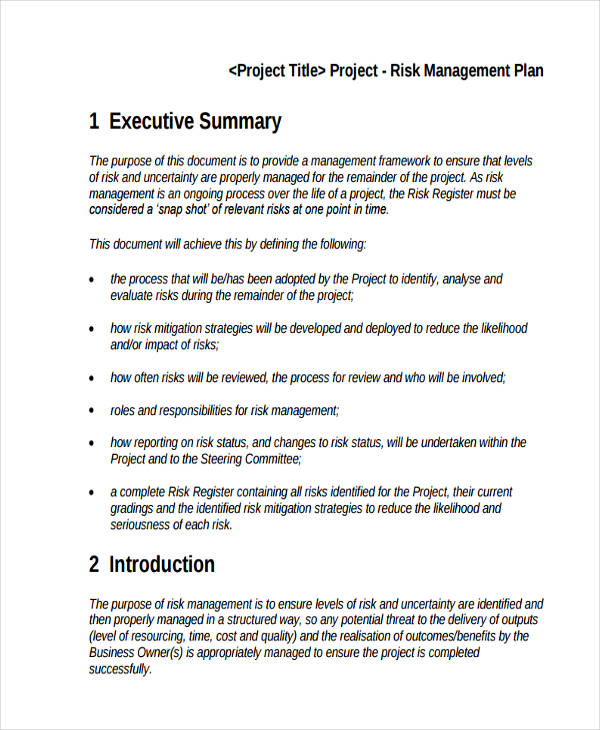 Project Risk Management Plan