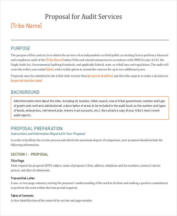 Audit Proposal 10+ Examples, Format, Pdf Examples