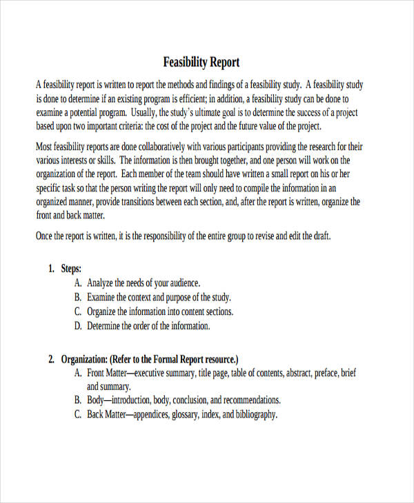 Feasibility Report Template