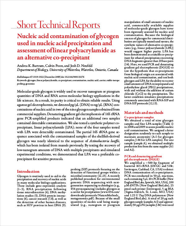 Short Technical Report Example