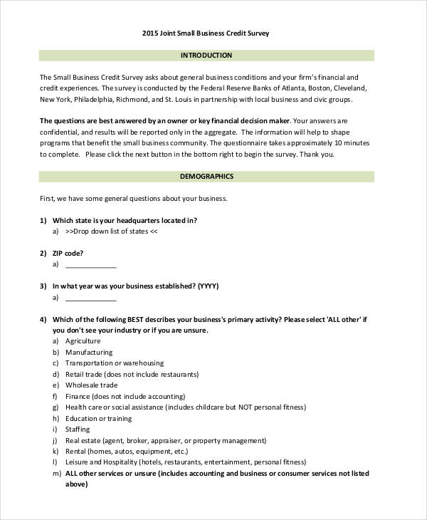 example of questionnaire in business plan