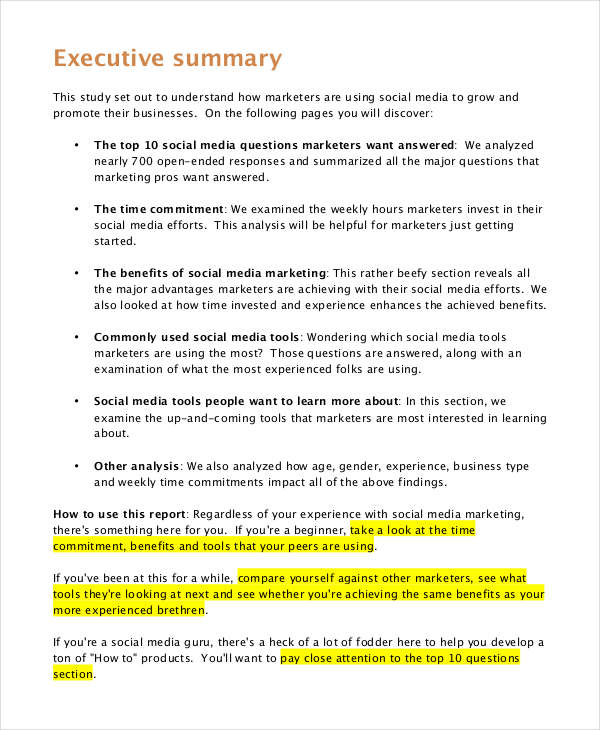 report sales writing format Marketing  Pages   Report  16  PDF Examples Word in FREE