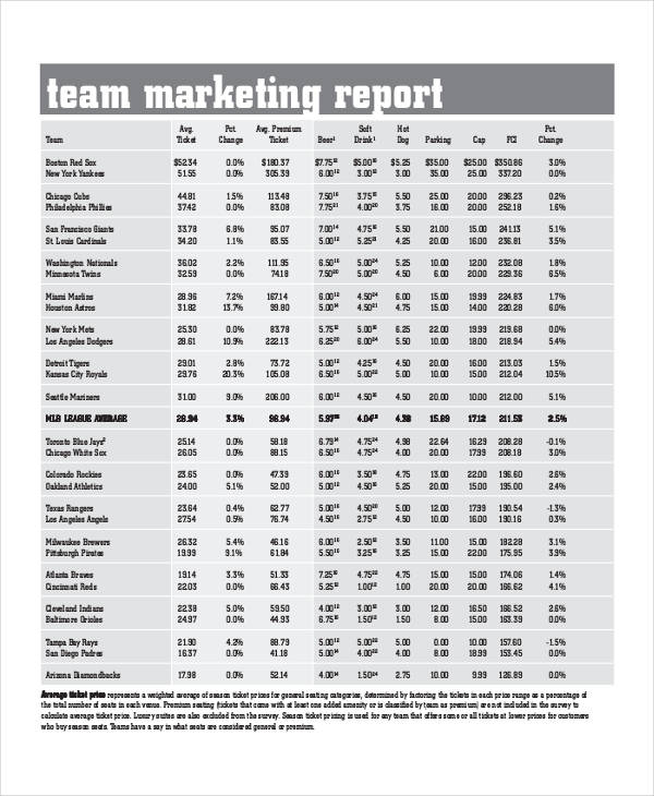 team marketing report sample