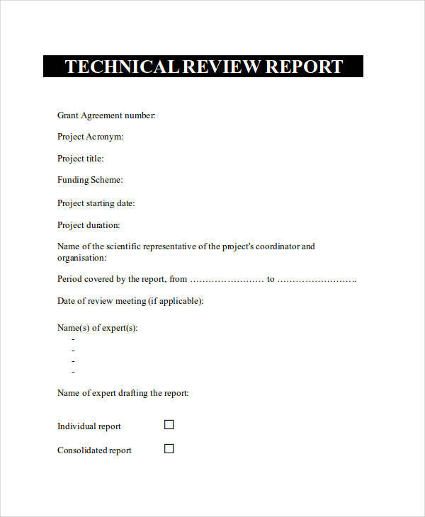 technical review report example1