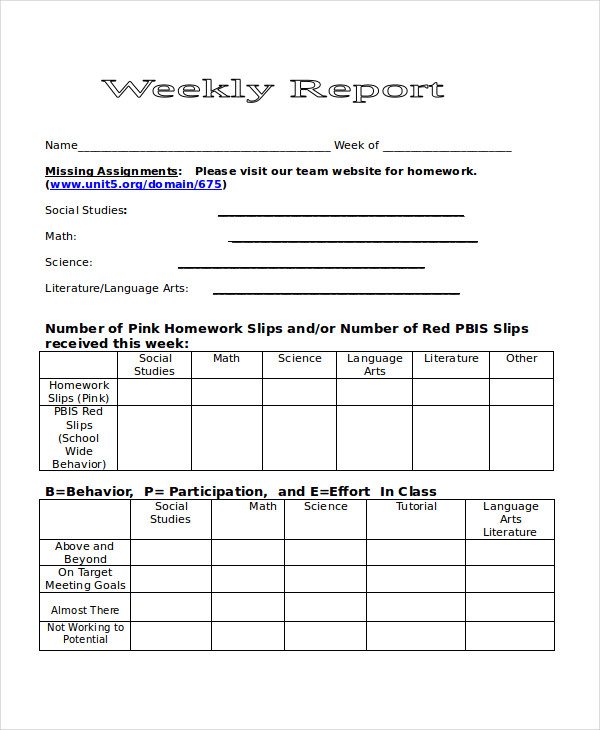 weekly report example