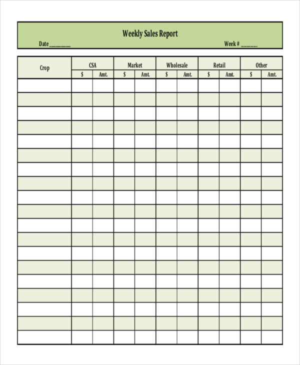 13 Sales Report Example Samples PDF Word Pages