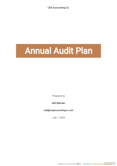 annual audit plan template