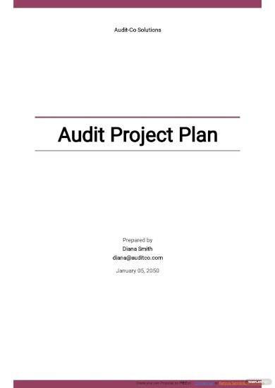 audit project plan template