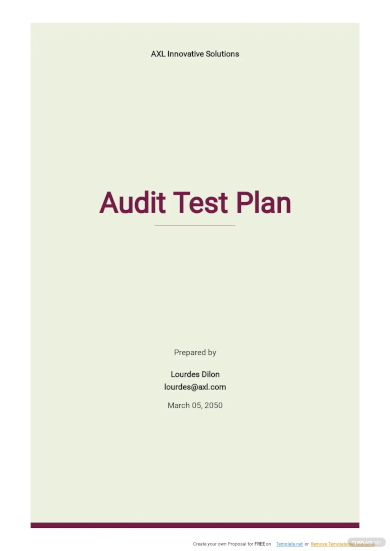 audit test plan template