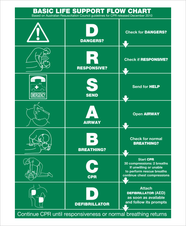 basic life support flow chart