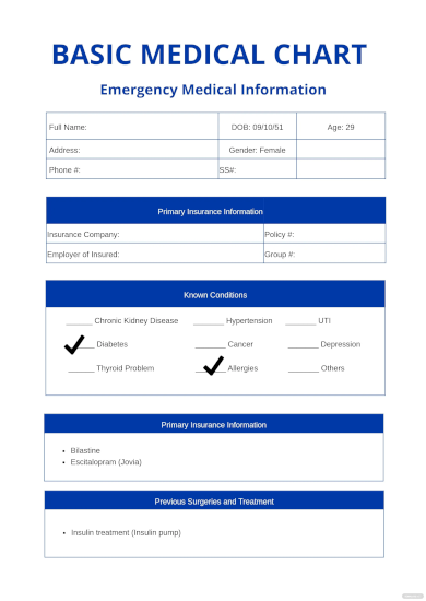 Patient Chart Template