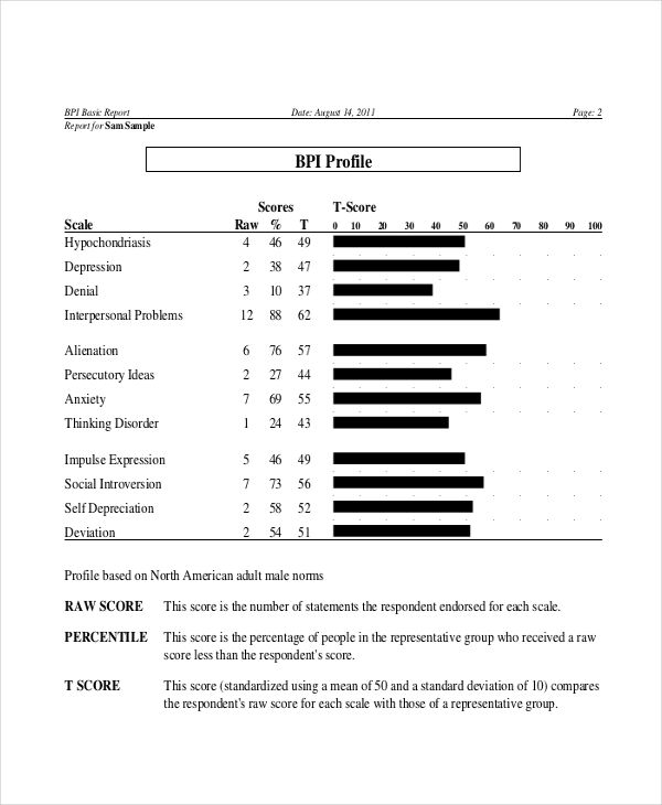 Basic Personality Inventory