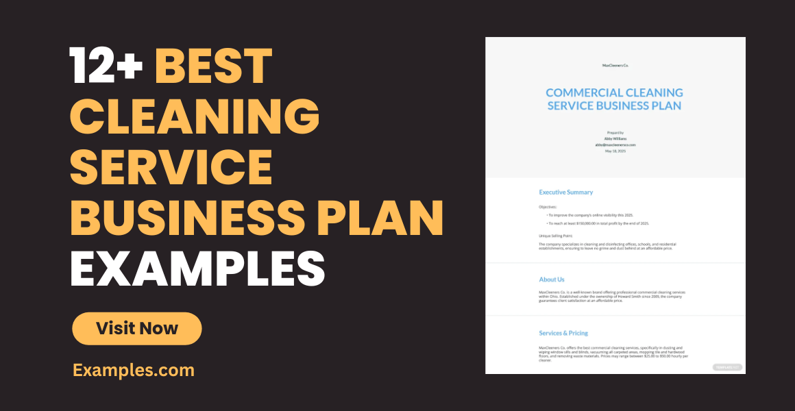 Best Cleaning Service Business Plan Examples