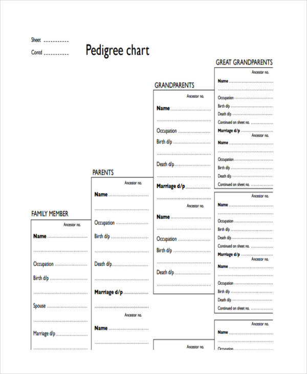blank pedigree chart sample