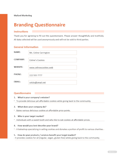 branding questionnaire template