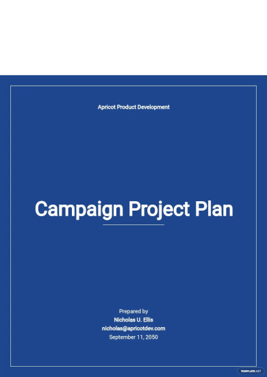 campaign project plan template