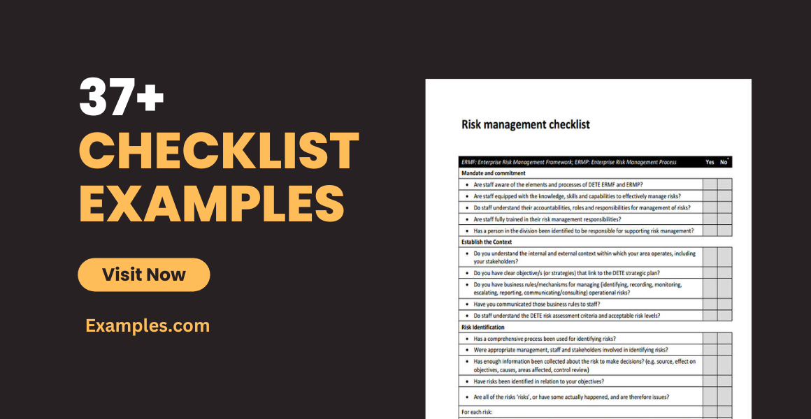 Checklist Examples