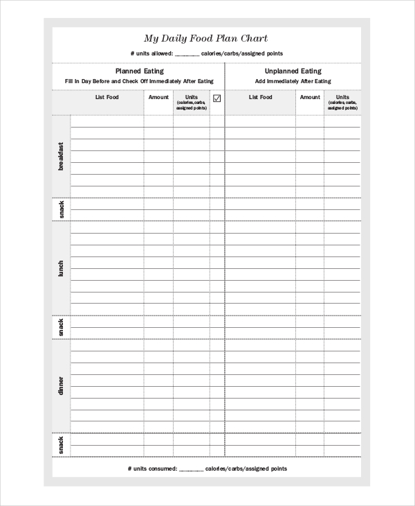 Daily Chart - 9+ Examples, Format, How to Make, Pdf