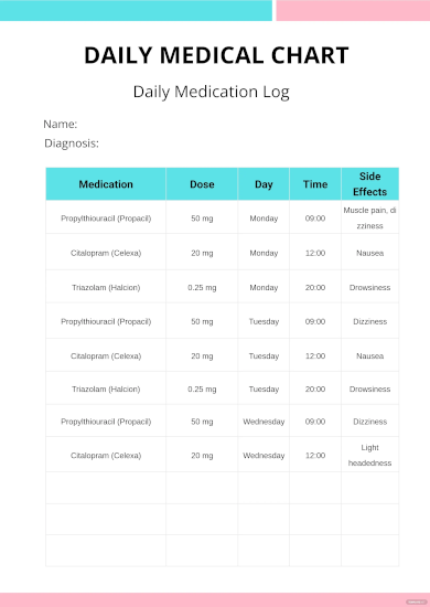 daily medical chart template