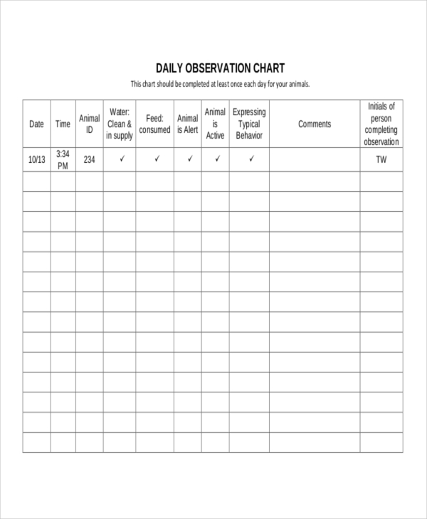 Daily Observation Chart