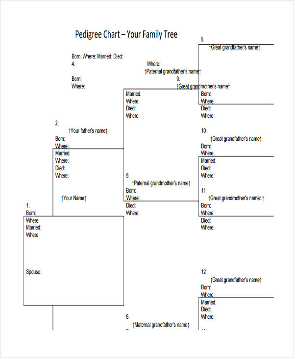 Chart - 25+ Examples, Format, Pdf | Examples