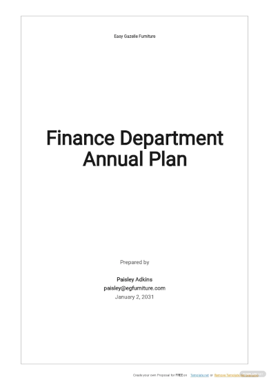 finance department annual plan template