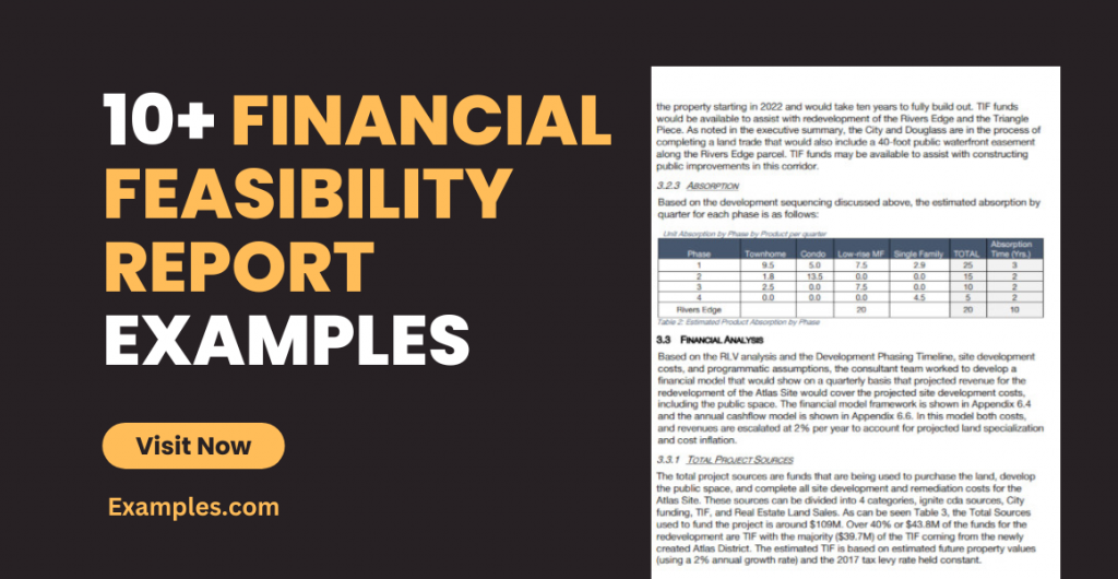Financial Feasibility Report Examples