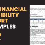 Financial Feasibility Report Examples